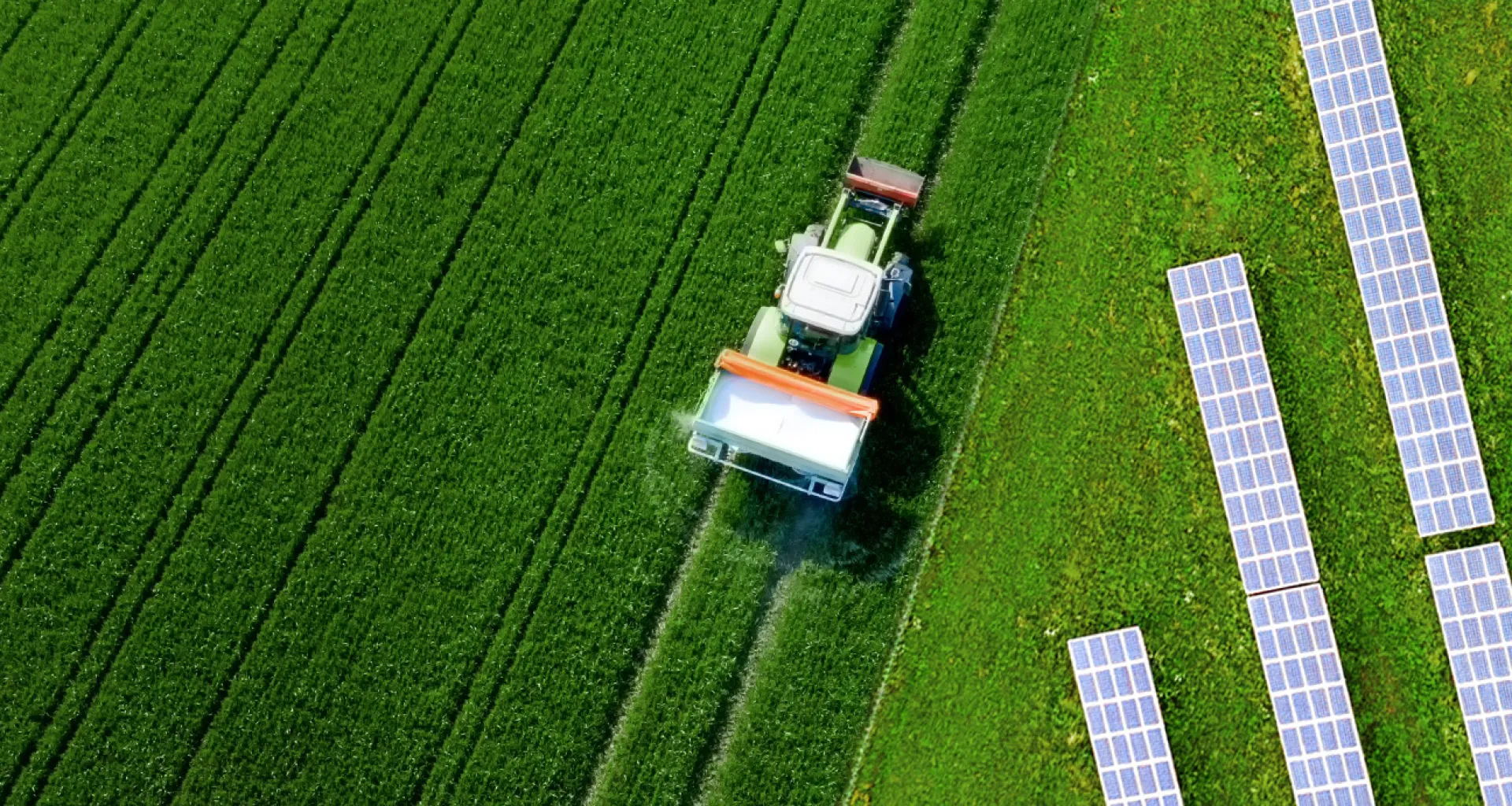 diritto-di-superficie-su-terreno-agricolo-opportunita-per-il-fotovoltaico-e-reddito-per-gli-agricoltori