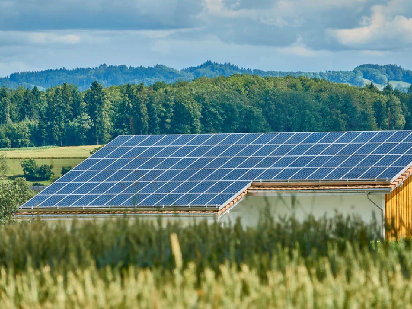 fotovoltaico-per-aziende-agricole-parco-agrisolare-e-tutte-le-novita
