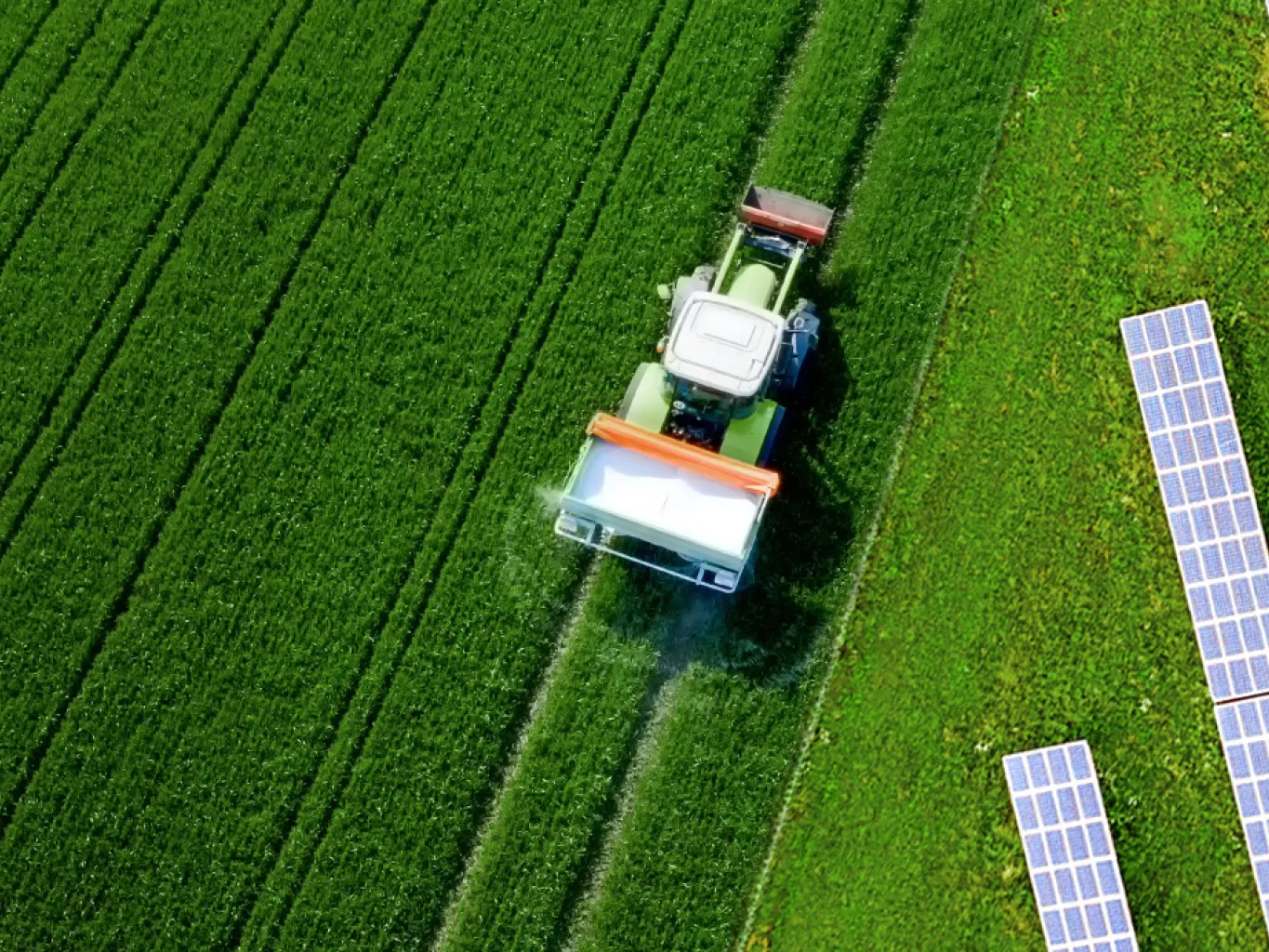 diritto-di-superficie-su-terreno-agricolo-opportunita-per-il-fotovoltaico-e-reddito-per-gli-agricoltori